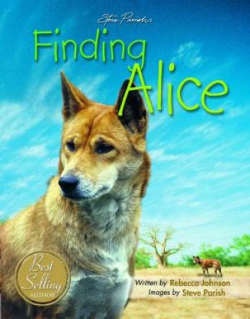 Finding Alice by Rebecca Johnson