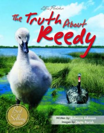 The Truth About Reedy by Rebecca Johnson