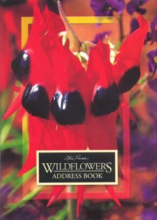 Address Book: Wildflowers by Unknown