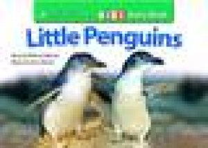 Steve Parish Story Book: Little Penguins by Rebecca Johnson