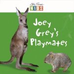 Steve Parish Early Reader Joey Greys Playmates