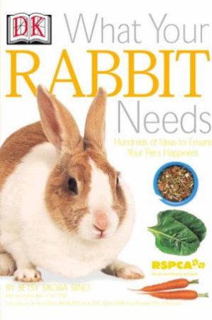 What Your Rabbit Needs by Betsy Sikora Siino