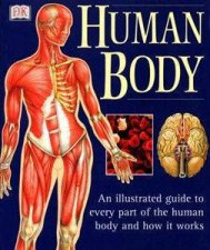 Human Body An Illustrated Guide To Every Part Of The Human Body