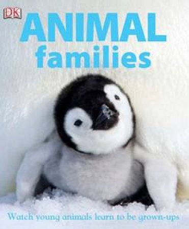 Animal Families: Watch Young Animals Learn to be Grown-Ups by Kindersley Dorling