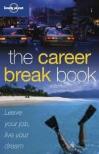 The Career Break Book