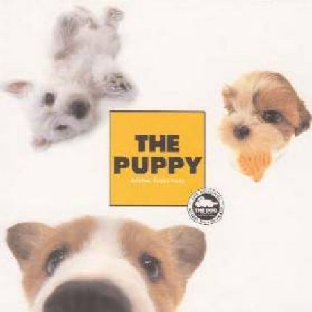 The Puppy by Carlton Books