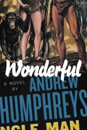 Wonderful by Andrew Humphreys