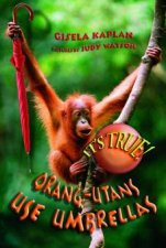 Its True Orangutans Use Umbrellas 28