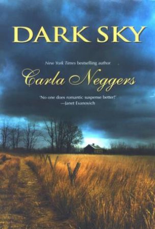 Dark Sky by Carla Neggers