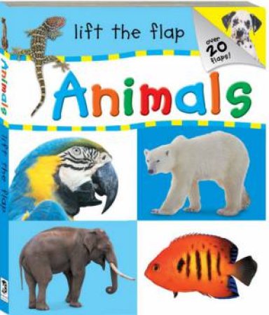 Lift The Flap: Animals by Various