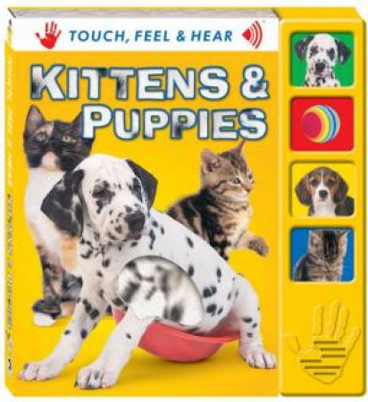 Touch Feel Hear: Kittens & Puppies by Unknown