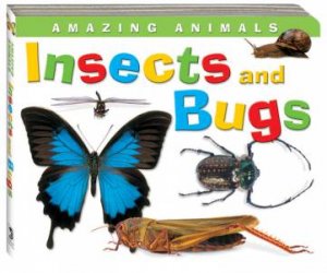 Amazing Animals Board: Insects and Bugs by Unknown