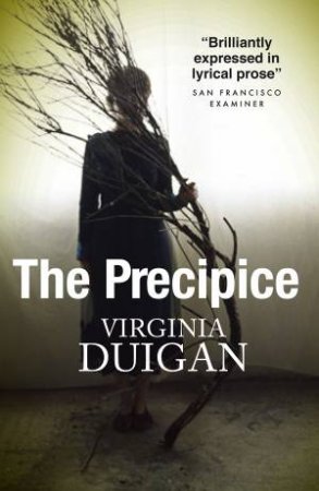 The Precipice by Virginia Duigan