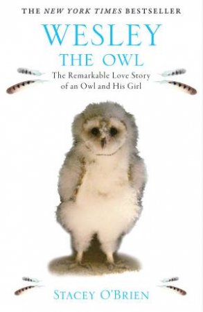 Wesley the Owl. The Remarkable Love Story of an Owl and His Girl by Stacey O'Brien