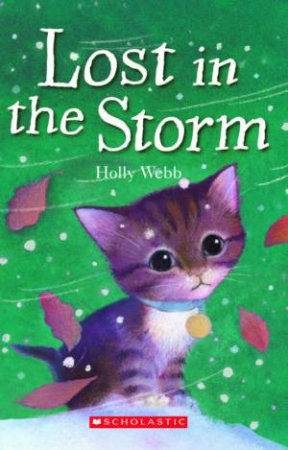 lost in the storm book