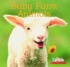 Little Scholastic: Busy Farm Animals Cloth by None