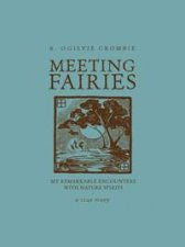 Meeting Fairies My Remarkable Encounters with Nature Spirits