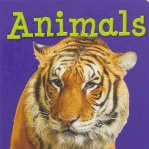 Colour Chunky Board Book: Animals by None