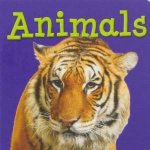 Colour Chunky Board Book Animals