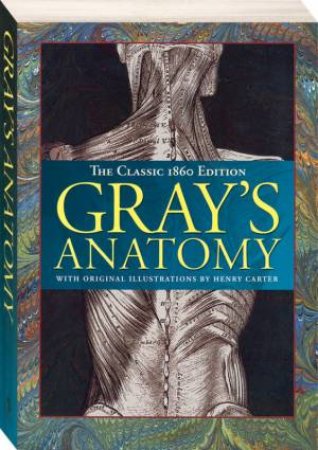 Gray's Anatomy by Various