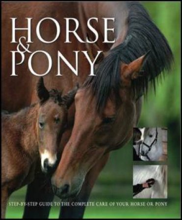 Horse & Pony by Various