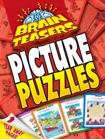 Brainteasers: Picture Puzzles by Various