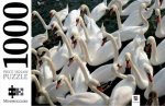 Mindbogglers 1000 Piece Jigsaw Swans