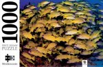 Mindbogglers 1000 Piece Jigsaw Tropical Fish