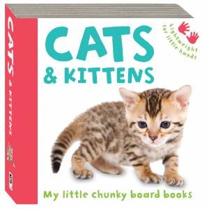 My Little Chunky Board Books: Cats and Kittens by Various