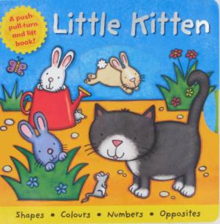 Board Book Deluxe: Little Kitten by Various