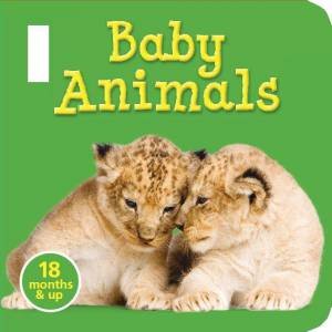 Photographic Buggy Books: Baby Animals by Various