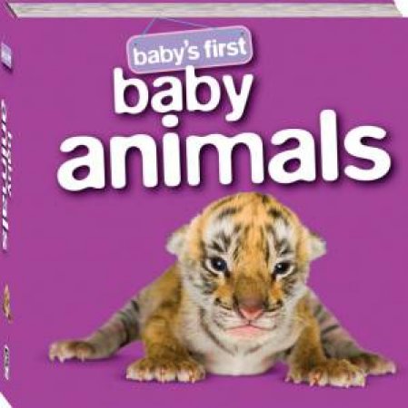 Baby's First S3 Padded Board: Baby Animals by Various