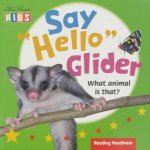 Say Hello Glider