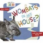 Animals In My World Wombats In My House