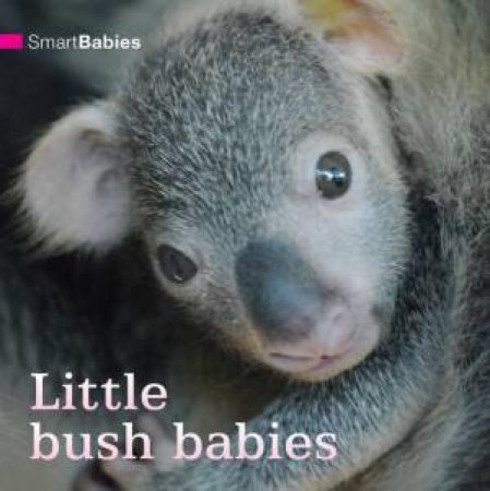 Smart Babies: Little Bush Babies by Various