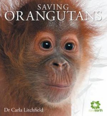 Saving Orangutans by Dr Carla Litchfield