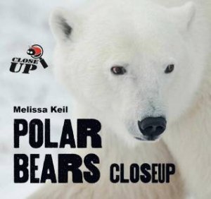 Polar Bears CloseUp by Melissa Keil