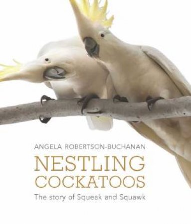 Nestling Cockatoos by Angela Robertson-Buchanan