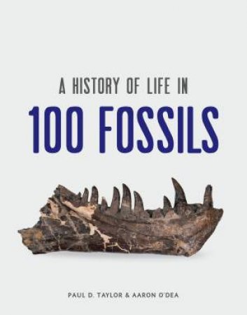 A History of Life in 100 Fossils by Paul D. Taylor & Aaron O'Dea