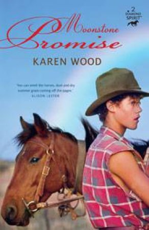 Diamond Spirit 02 :Moonstone Promise by Karen Wood