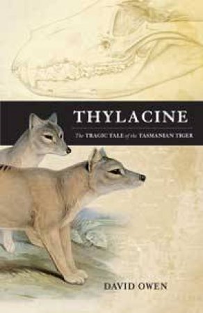 Thylacine by Various