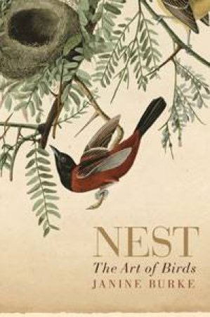 Nest: The Art Of Birds by Janine Burke