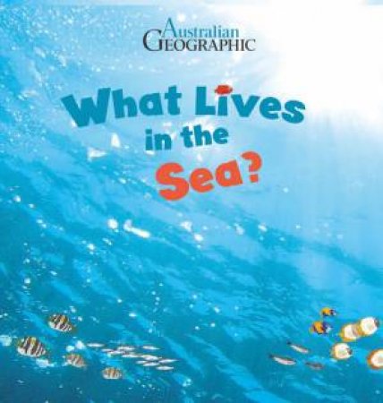 Science Storybook: What Lives In The Sea? by Various