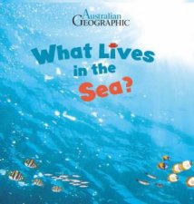 Science Storybook What Lives In The Sea