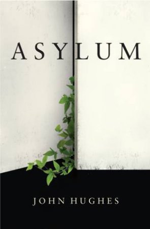 Asylum by John Hughes