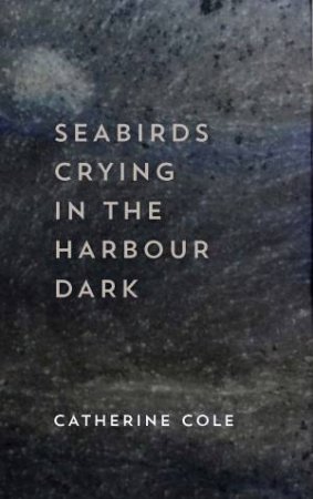 Seabirds Crying In The Harbour Dark by Catherine Cole