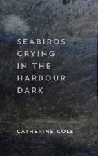 Seabirds Crying In The Harbour Dark