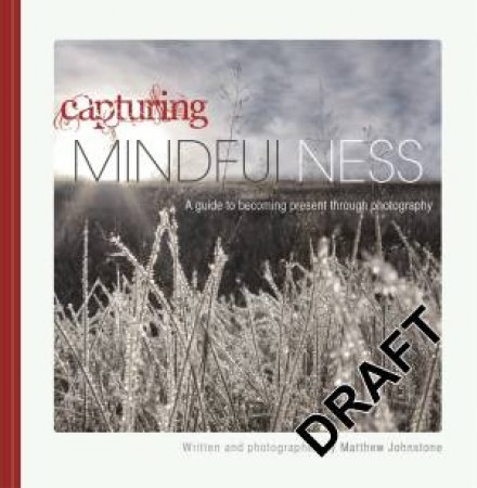 Capturing Mindfulness by Matthew Johnstone