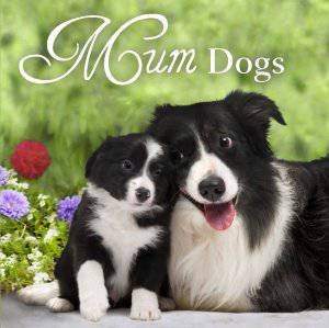 Mum Dogs by Various