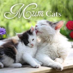 Mum Cats by Various